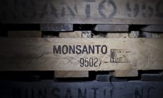 Апелативен съд в САЩ отмени обезщетение на Monsanto от $185 млн. към 3-ма учители