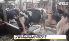 Австралия няма да затваря границата с Индонезия заради шапа