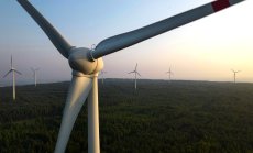 Инвеститорите в "зелени" акции бележат огромни печалби, въпреки атаките на Тръмп