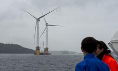 Вълни и водорасли са основните проблеми за плаващите вятърни електроцентрали на Франция