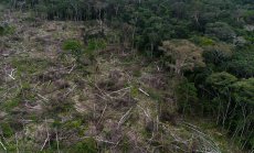 САЩ призовават ЕС да отложи приемането на закон, насочен към борба с обезлесяването