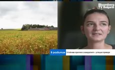 Биовъглени и агриволтаици: как България може да навакса с устойчивото земеделие