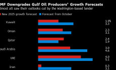 МВФ понижи прогнозата за растеж на страните от Персийския залив заради по-евтиния петрол