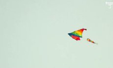 Как централните банки спечелиха битката, но изгубиха войната, част 2