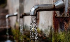 Зелен речник: Какво представлява бактерията „Legionella“?