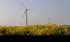 Младите у нас все повече възприемат зелена идентичност, ключова за зеления преход