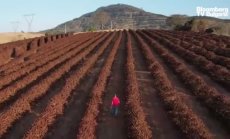 Бразилия е само част от общата тенденция на климатични промени