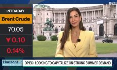 Какво да очакваме от семинара на ОПЕК във Виена, част 2