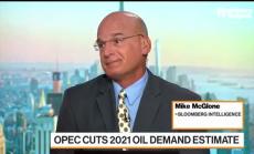 Защо ОПЕК понижи прогнозата за търсене на петрол, част 2