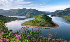 Туристическият сектор се нуждае от дигитализация преди приемане на еврото