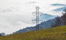 Зелен речник: Какво е „електрическа гъвкавост“?