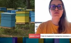 Теодора Тодорова: Пчеларите нямат адекватно субсидиране и механизми за помагане
