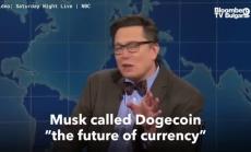 Мъск нарече нарече доджкойн измама