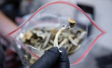 Олекотените психеделици може да омагьосат по-успешно инвеститорите 