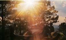 Да отлетиш към дивото