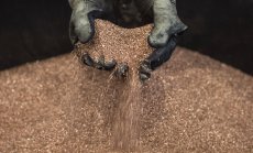 Медта поевтинява заради пониженото търсене въпреки това предстои недостиг