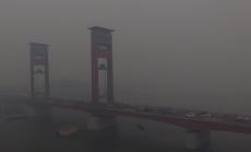 Индонезия търси финансиране за залесяване