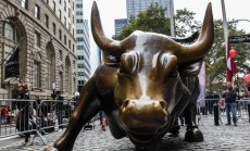 Бикът на фондовия пазар настъпва, въпросът е кога ще срещне мечката