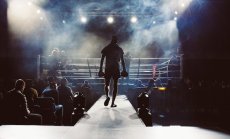 По $40 млн. ще приберат Усик и Джошуа в боксов мач в Саудитска Арабия