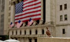 Инвеститорите напускат пазарите въпреки ралито