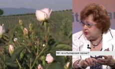 Очаква се ръст от 20% на цената на розовото масло през 2016