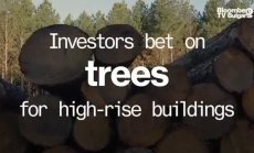 Инвеститорите залагат на нов вид дървесина за високо строителство, част 1