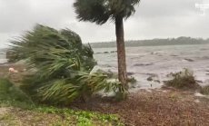 Как централните банки спечелиха битката, но изгубиха войната, част 4