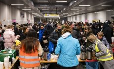 От пицарии до стартъпи, украинските бежанци навлизат на европейския пазар на труда