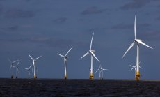 Слънчева енергия, EV и отказ от въглищата: добрите новини за климата през 2024