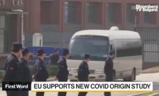 ЕС подкрепя ново разследване за причините за Covid-19