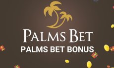 Да активираме ли Палмсбет бонус или не? Каква е разликата?