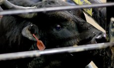 Инвеститорите не трябва да се заблуждават от ръста на Уолстрийт 