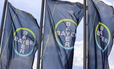 Онкологичните заболявания и затлъстяването са горещите теми за фармацията днес