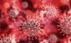 Как пандемията промени световната икономика?