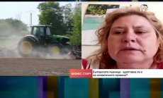 Българските сортове пшеница са по-адаптивни, дават на места над 800 кг/дка