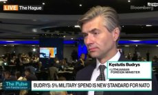 Литовският външен министър за американските сили в Европа