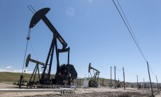 ОПЕК+ без сделка заради ОАЕ, но преговорите продължават 