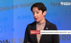 ЕС може само да даде препоръки за минималната заплата, а не да я въвежда