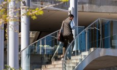 Ерата на хлебарките: как оцеляват стартъпите еднорози, когато финансирането спре