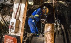 Двама търговци си поделиха над 1 млрд. долара дивидент от енергийната криза