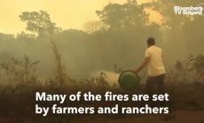 Пожари заплашват провинция Пантанал в Бразилия