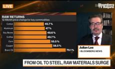 Много фактори сочат към дългосрочно поскъпване на суровините, част 1