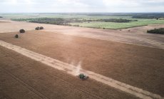 Тръмп обмисля сваляне на митата за някои селскостопански продукти