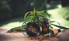 Прогноза: Разширяващ се достъп до разгръщането на ума