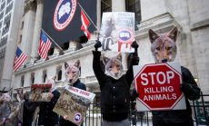 Модата вече не боли - от пристрастяване към кожата върви към етика и иновации