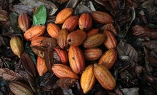 Злато, дизел и още важни графики за световните суровинни пазари за тази седмица