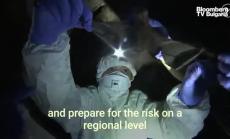 Китайски учени тестват прилепи за следи от коронавирус