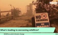 Какво стои за влошаването на горските пожари