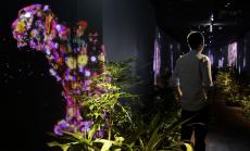 Трите урока на един стартъп гуру