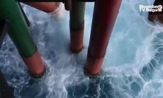 Всичко за манията по зелените финанси, част 1